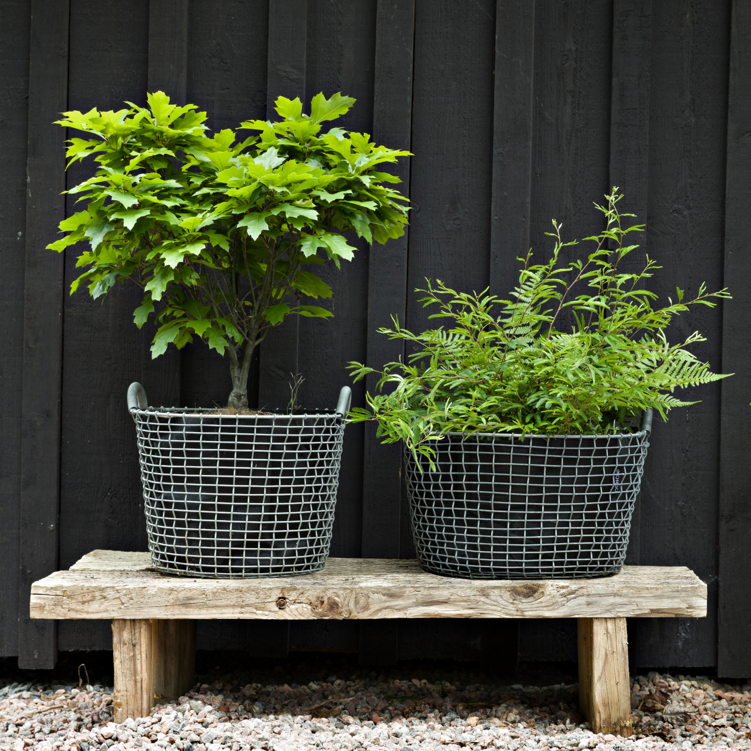 CLASSIC 35 - Image 14