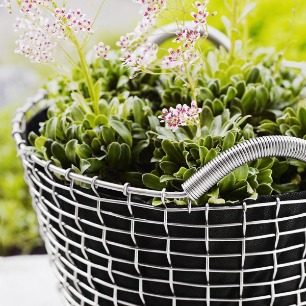 Alternative view of CLASSIC 24