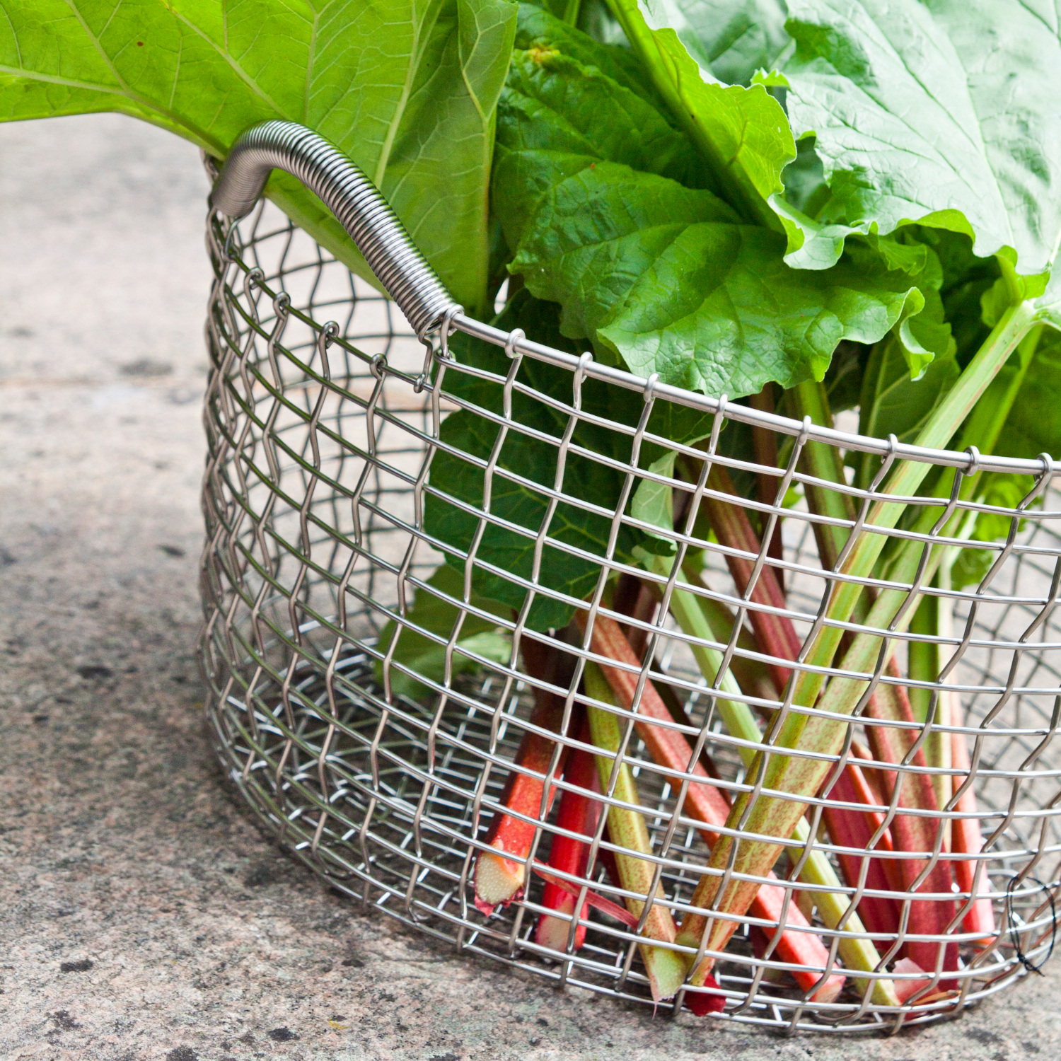 CLASSIC 35 - Image 12