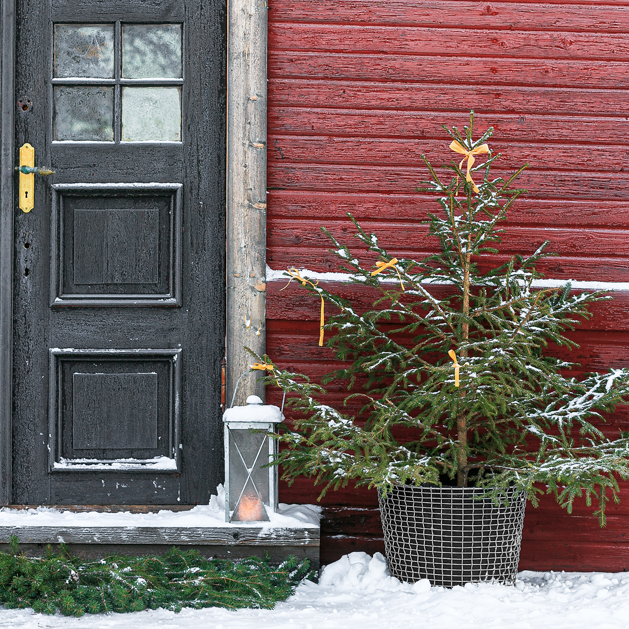 CLASSIC 50 - Image 7